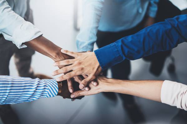 Líder de equipo de CV - ejemplo