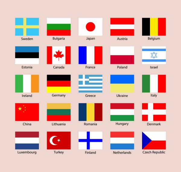 Sample CV of a translator